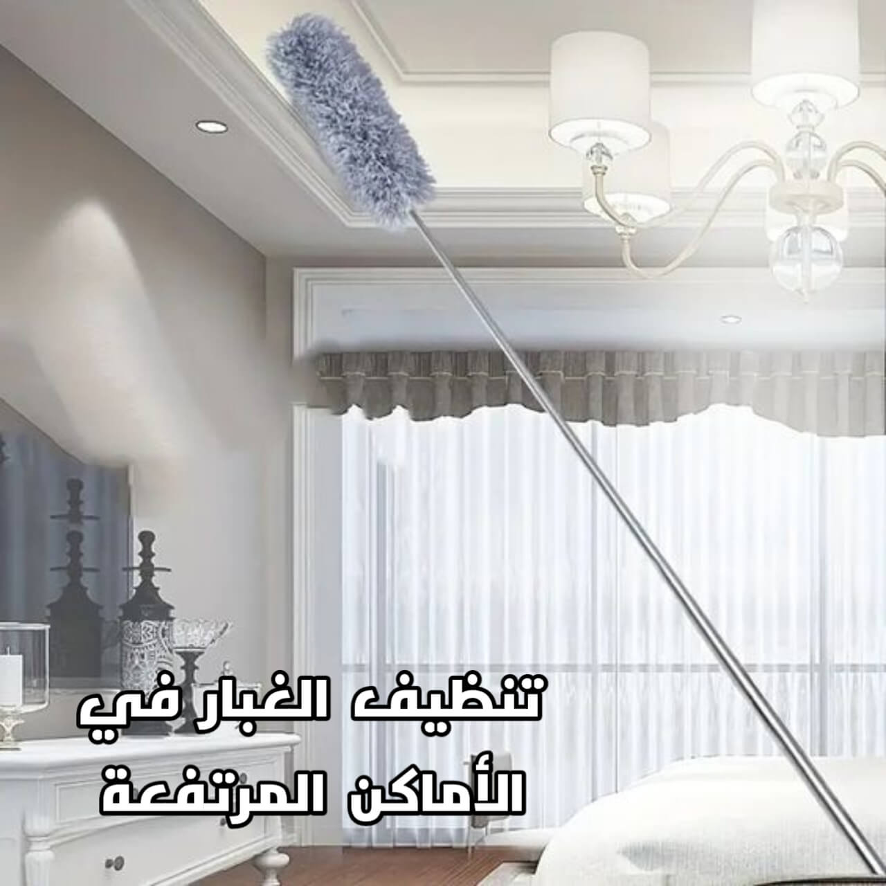 Extendable Dust Brush