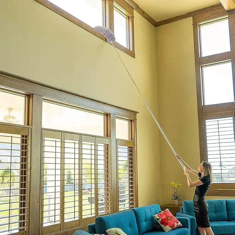Extendable Dust Brush